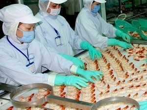 Workers process shrimps for export (Photo: VNA) Workers process shrimps for export (Photo: VNA)